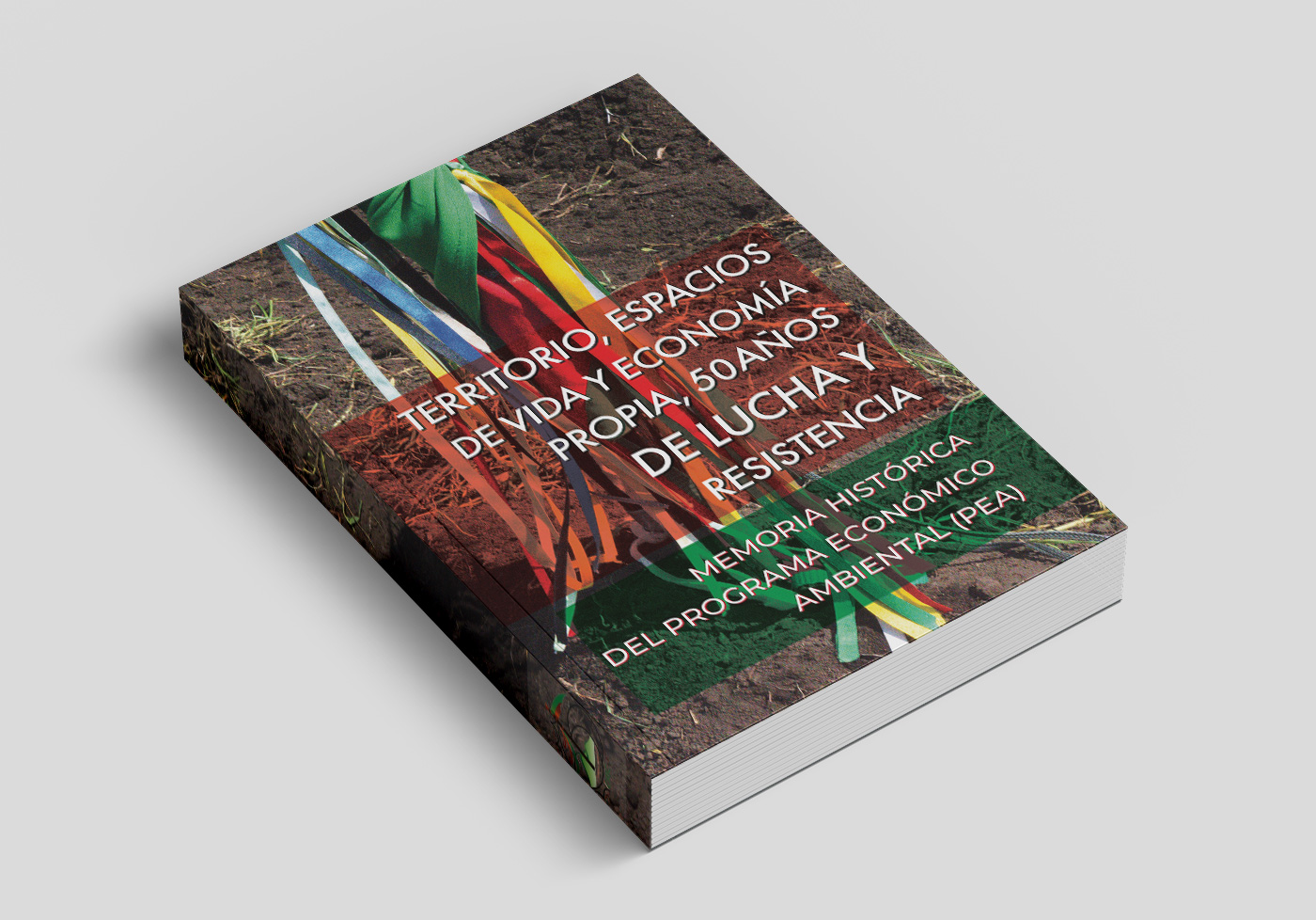 Memoria Histórica del Programa Económico Ambiental